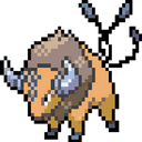 tauros