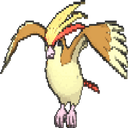 pidgeot