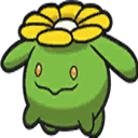 skiploom