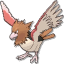 spearow