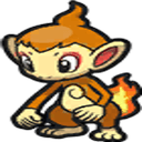 chimchar