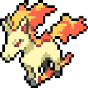 rapidash