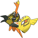 tapu-koko