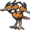 dodrio